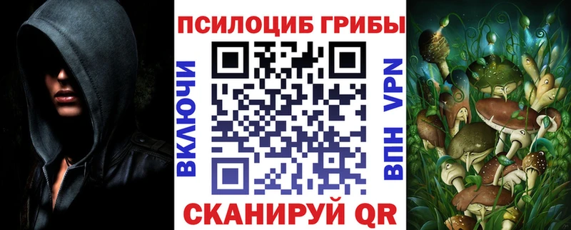 Купить закладки Белоярский Псилоцибиновые грибы мицелий